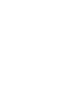 The Mortgage Professionals